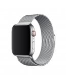 Ремешок Apple Миланский сетчатый браслет для Apple Watch (серебро)