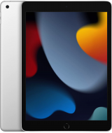 Apple iPad 10,2" (2021) Wi-Fi 256 ГБ, серебристый (MK2P3)